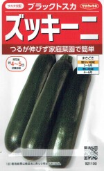 �������Υ��� ���å����� �֥�å��ȥ����Υ���[�����̡�4ml]