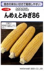 ���պμ�� �ȥ�������� ��ᤧ�Ȥߤ������Υ���[�����̡���53γ]