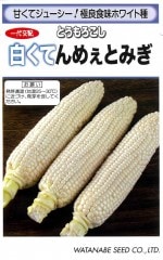 ���պμ�� �ȥ�������� �򤯤Ƥ�ᤧ�Ȥߤ��Υ���[�����̡���50γ]