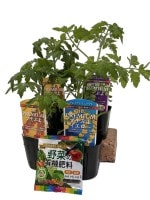 日光種苗の野菜苗の種・苗 通販｜日光種苗