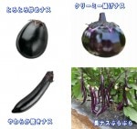 ����ȥ꡼�ܵ���ڡ��ʥ�����4�糧�å� �֤Ȥ��Ȥ��֤�ʥ�1�ܡ����餫�Ƥ��ʥ�1�ܡ����꡼�ߡ��Ȥ��ʥ�1�ܡ�Ĺ�ʥ��֤�֤�1��(������)��9cm�ݥåȡ�4����ܡ�5����ȯ��ʬͽ���