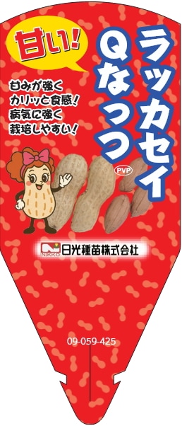 Qなっつ落花生」の苗 9cmポット【5月上旬発送分予約】（登録品種