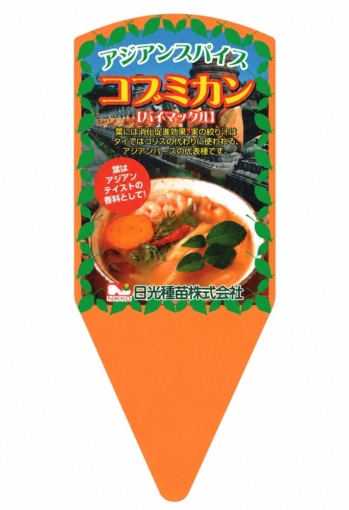 アジアンスパイス「コブミカン」（バイマックル）の苗 9cmポット【5月