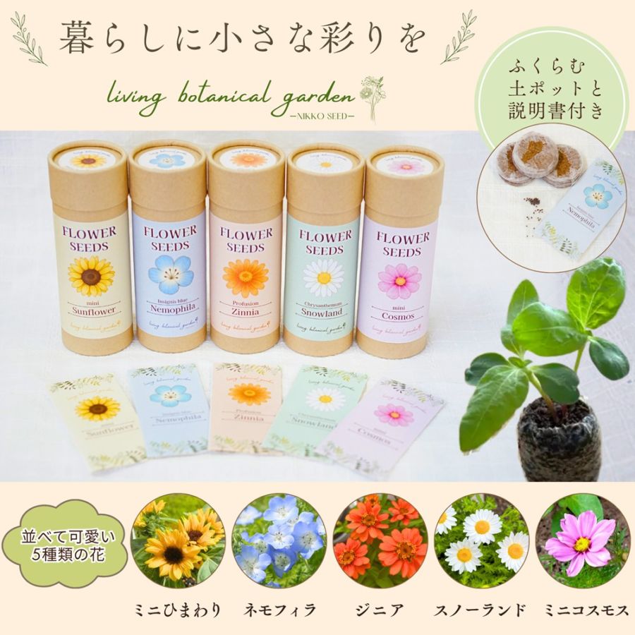 花のたねまきセット ネモフィラ」Living botanical garden（リビング