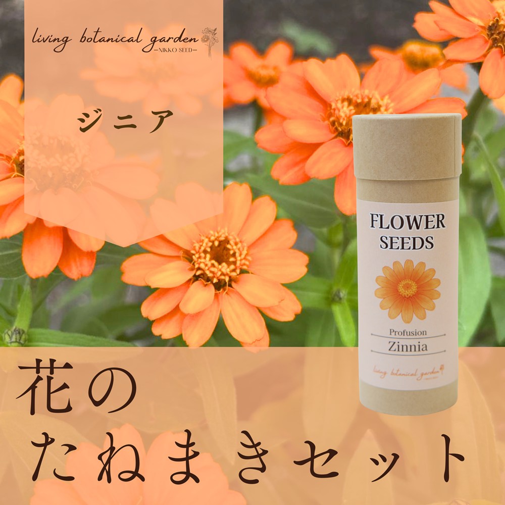 サカタのタネ ルリタマアザミ 1.5ml 【郵送対応】