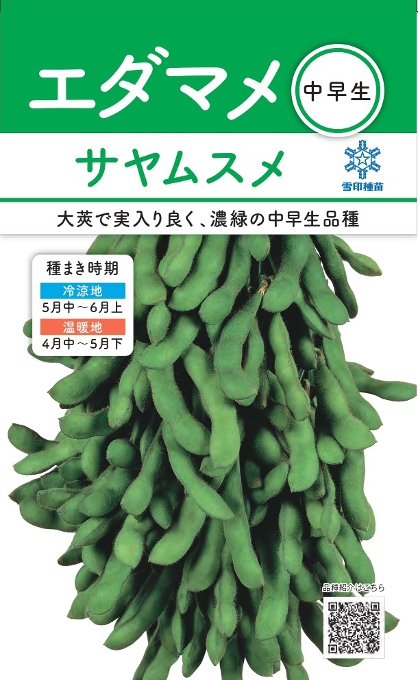 雪印種苗「エダマメ サヤムスメ」のタネ [内容量:30ml] | 【メーカー名