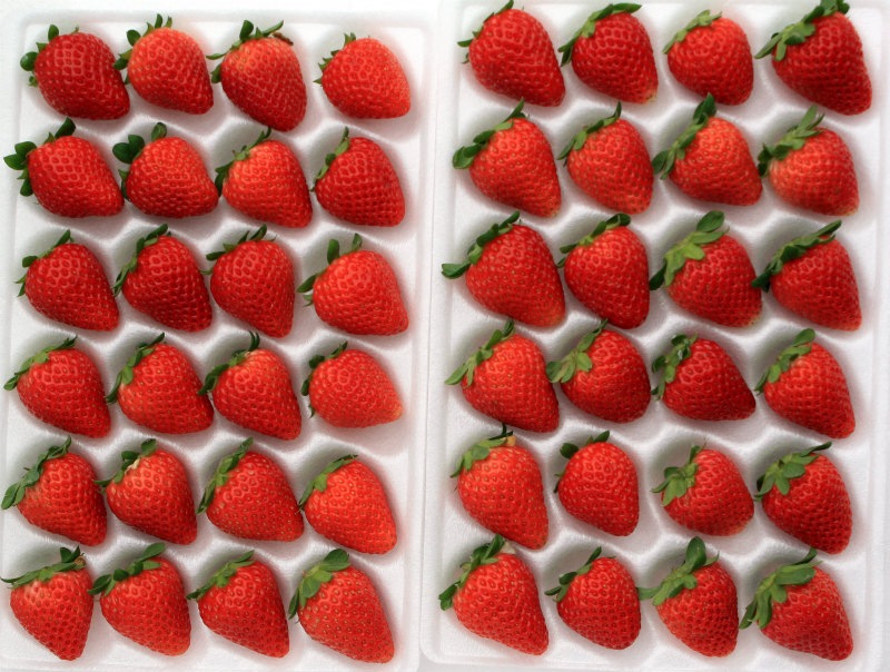 �������ġ֤Ȥ��ҤȤߡ�pvp�ˡ�4�ܥ��åȡ������ա�9cm�ݥå��ġ�3���ܡ�5���ȯ����