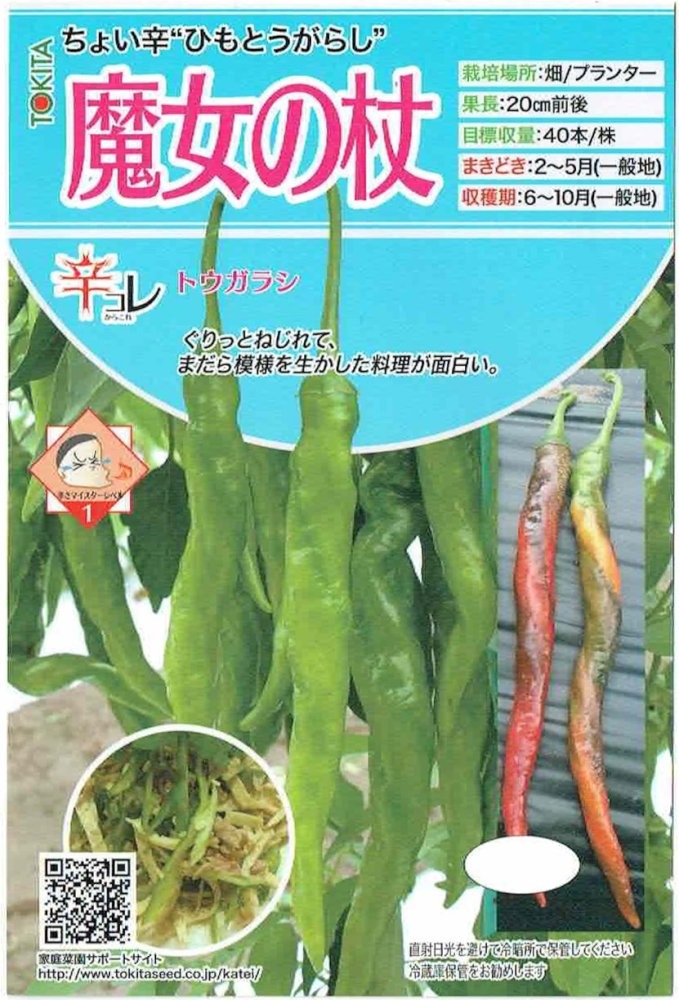 �ȥ������ġ��ȥ����饷��������ξ�פΥ��͡�[�����̡���20γ]