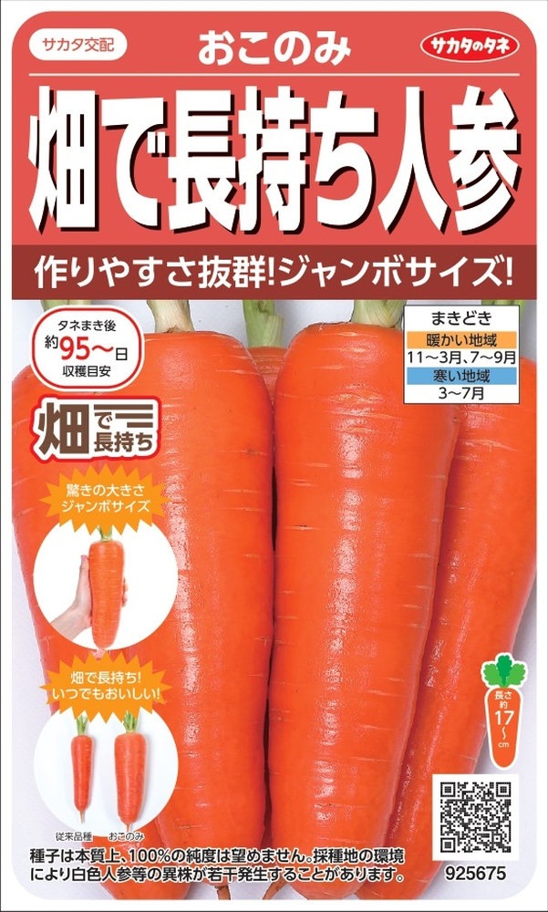 サカタのタネ ニンジン 畑で長持ち人参「おこのみ」のタネ 3ml