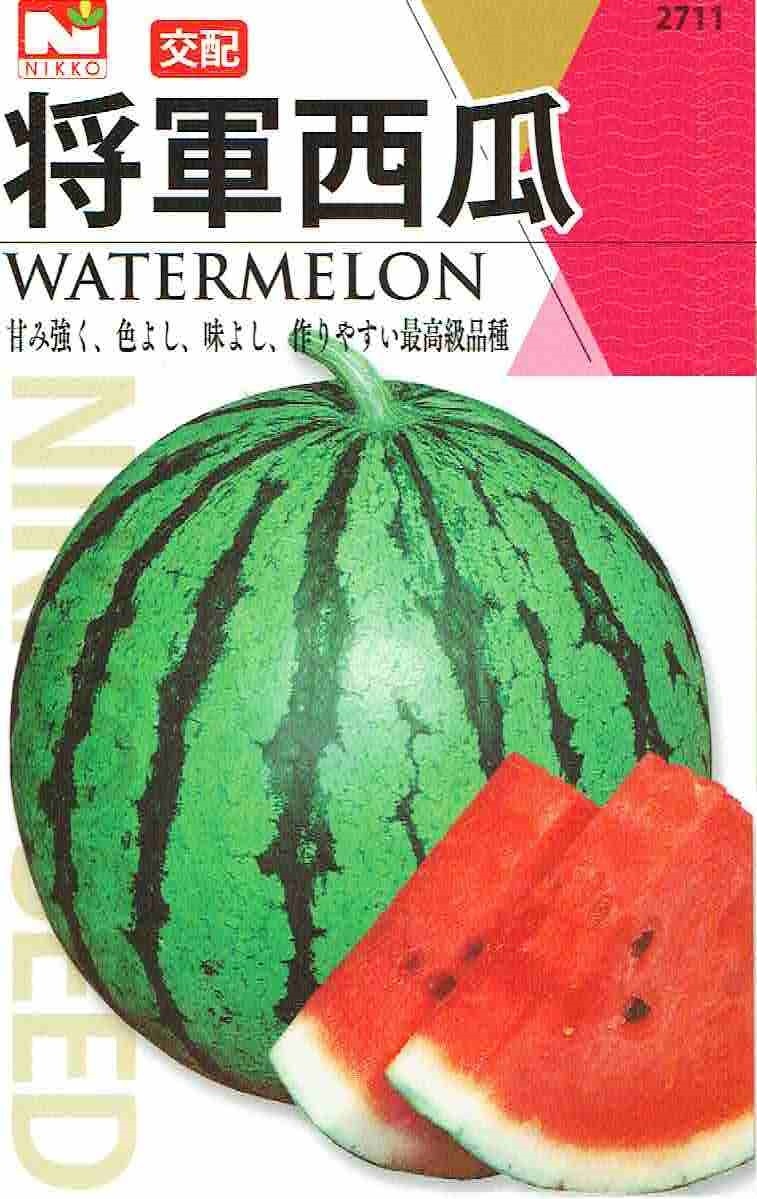 �������ġ����ۡ����������Υ��͡�[�����̡�1ml]��2711�ۡڽաۡʥ���������������