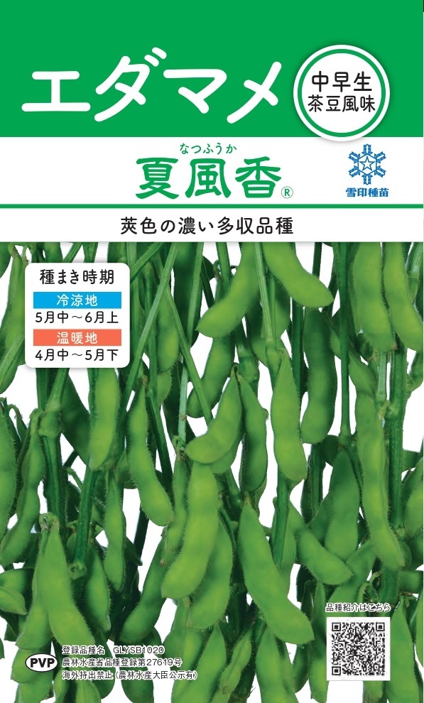 【1kg×19袋入】夏風香（枝豆・えだまめ） 種子 農業 農家 合計19kg 1kg×19袋入】夏風香（枝豆・えだまめ） 種子 農業 農家 合計19kg