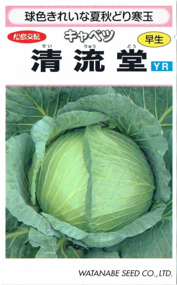 渡辺採種場 キャベツ「清流堂」のタネ 1ml