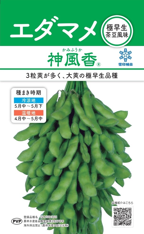 ������ġ֥����ޥ� ������ʤ��ߤդ����ˡפΥ��͡�[������:3��ml]���ʼ�̾��GLYSB1021_��Ͽ�ֹ桧��28278���