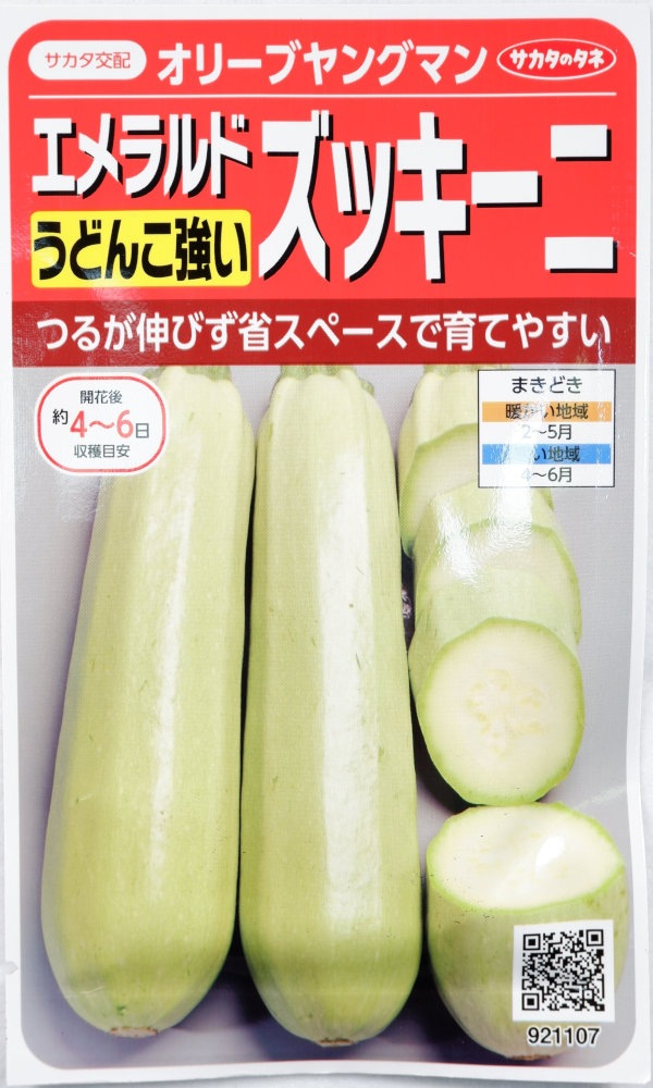 ズッキー様おまとめ12品 サカタのタネ うどんこ病に強い エメラルドズッキーニ「オリーブ