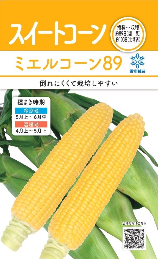 雪印種苗「スイートコーン ミエルコーン89」のタネ [内容量:30ml