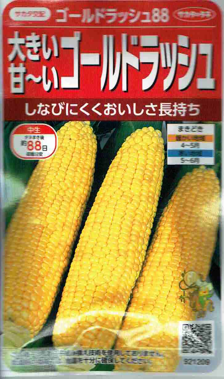 サカタのタネ トウモロコシ 倒れにくい ゴールドラッシュ90 21ml