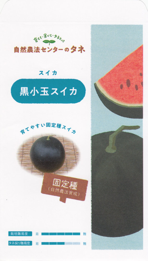 ˡ󥿡֥ ̥פΥ͡[:10γ]