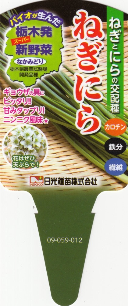 ねぎにら」（ネギニラ・なかみどり）9cmﾎﾟｯﾄ苗 48本ｾｯﾄ | 【野菜の苗