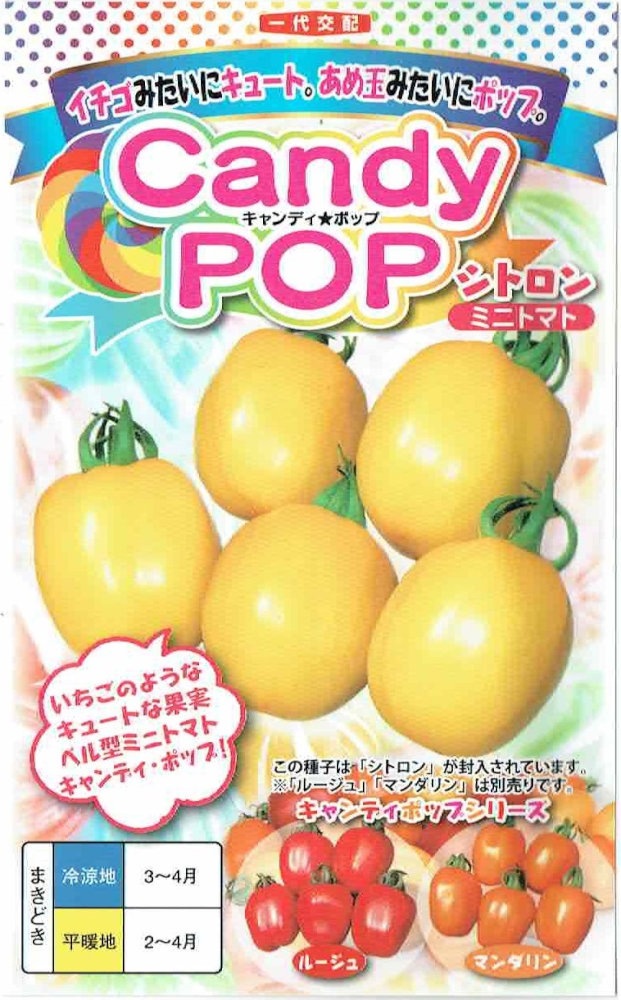 �ʥ�ȼ��ġ��ߥ˥ȥޥȡ��֥����ǥ��ݥå� ���ȥ���פΥ��͡���7γ