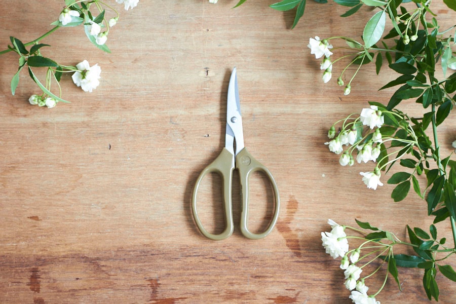 Niko Flowers がおすすめする花鋏 Ars クラフトチョキ 強力タイプ ガーデニング用品 Niko Flowers