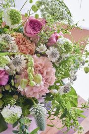 ��������ե� 8.