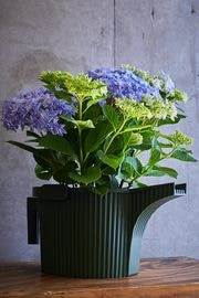 ��������ե� 9.�����ǥ�ӡ��ȥ�(�ե��󥿥ʥ��祦��)�ȥ֥롼�ϥ��������Υ��å�