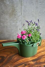 ��������ե� 11.�����ǥ�ӡ��ȥ�1.5L�ȥ����͡�������ĥ��եȥ��å�