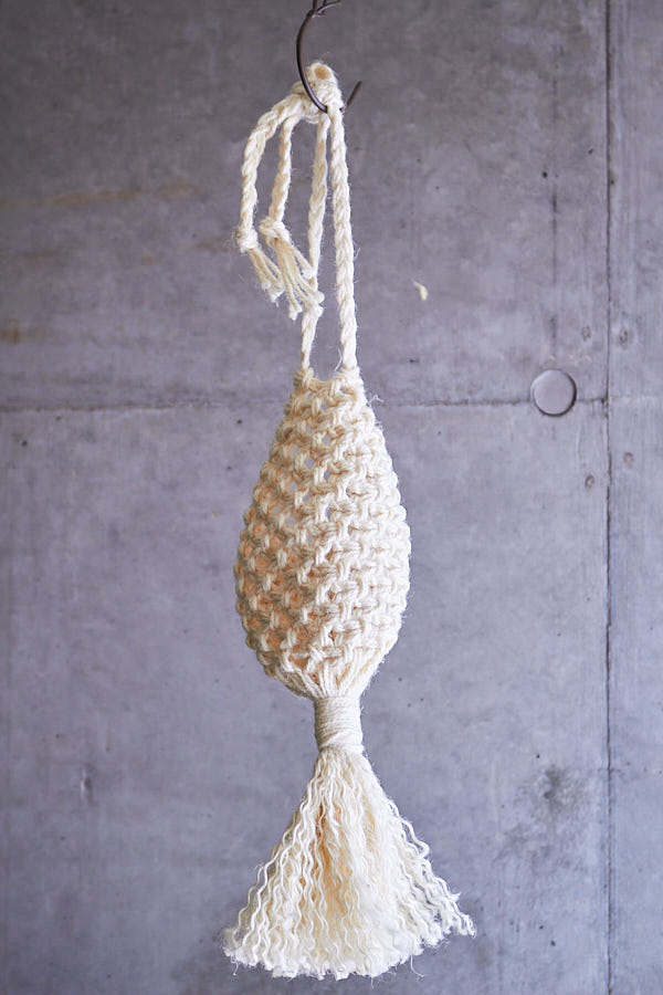 �ץ��ĥϥ󥬡� (��)����