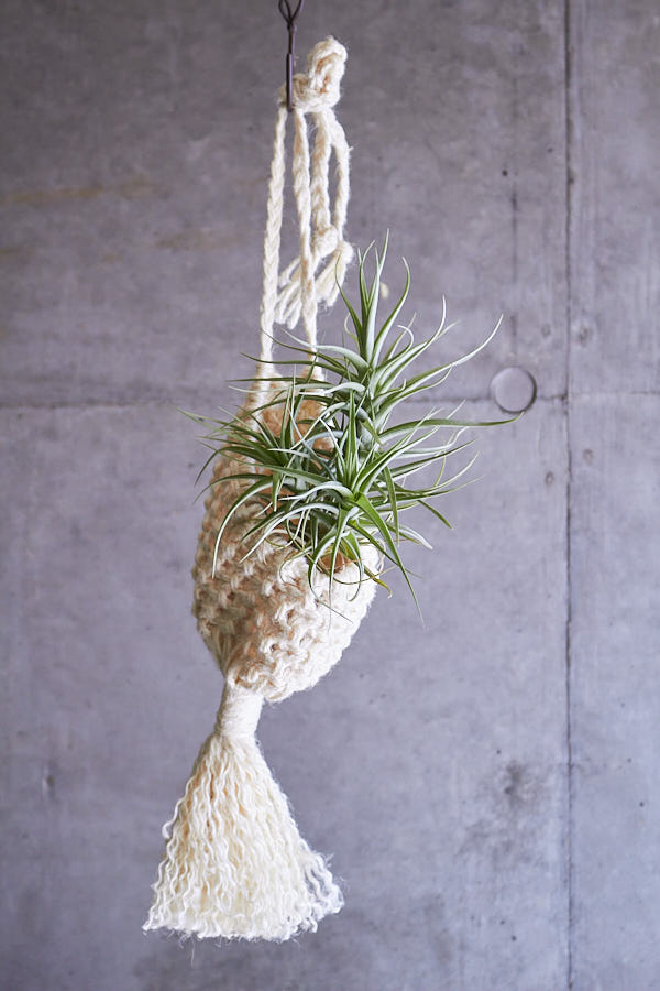 �ץ��ĥϥ󥬡� (��)����