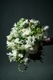 Gift Flower Bouquet եѥ֡330016500ߡǹˤޤǤӤޤ