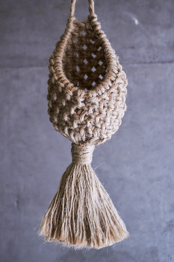 �ץ��ĥϥ󥬡� (��)����