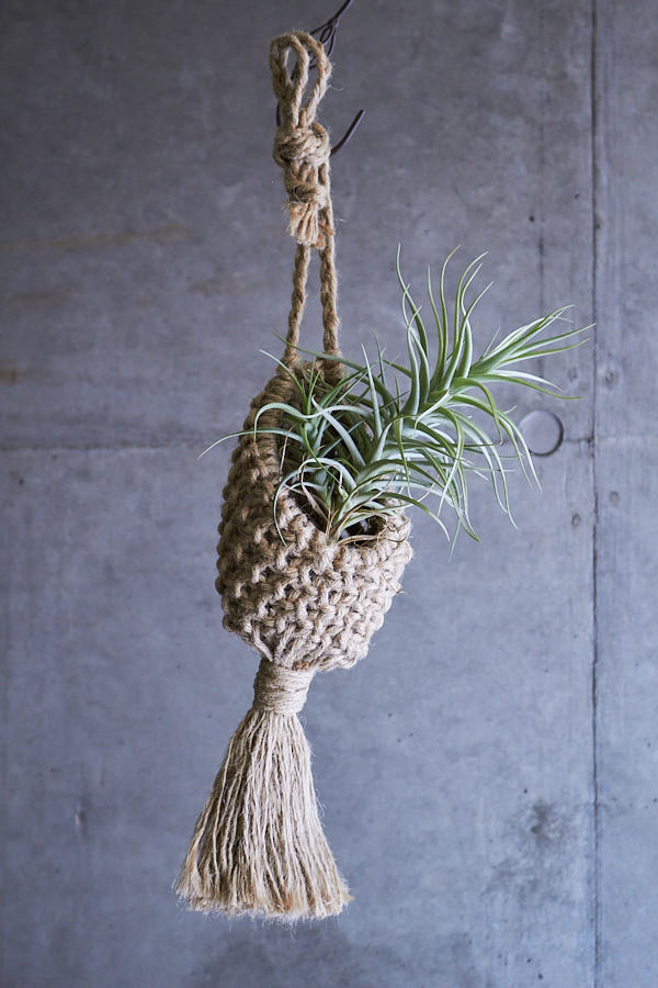 �ץ��ĥϥ󥬡� (��)����