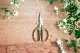 NIKO FLOWERS+���������᤹�������ARS ����եȥ��祭�����ϥ����ס�
