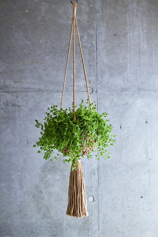 �ץ��ĥϥ󥬡� C-Style