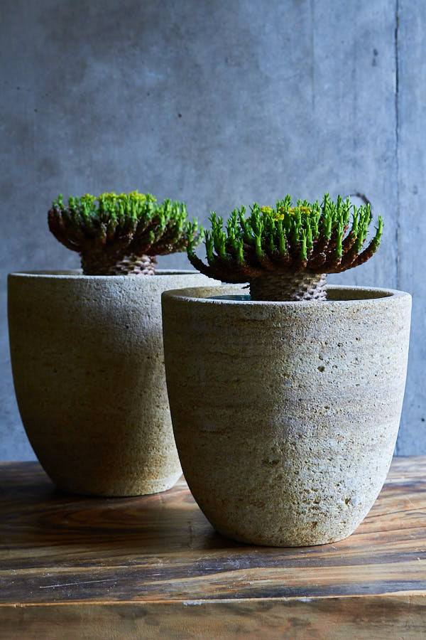 �桼�ե���ӥ� �ե饬�ˡ�