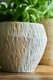 Stone Pot I5800