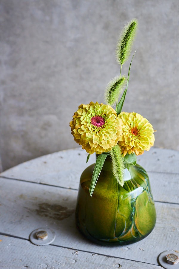 �ƣɣģңɣ� Toscany small -urban green-