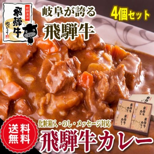 飛騨牛 カレーギフト 220g×4箱 化粧箱入 送料無料 内祝 肉 黒毛和牛 ブランド牛 牛肉 和牛 カレー 進物 プレゼント ギフト プチギフト 景品 レトルト 食べ物 ひぐちのギフト お取り寄せグルメ