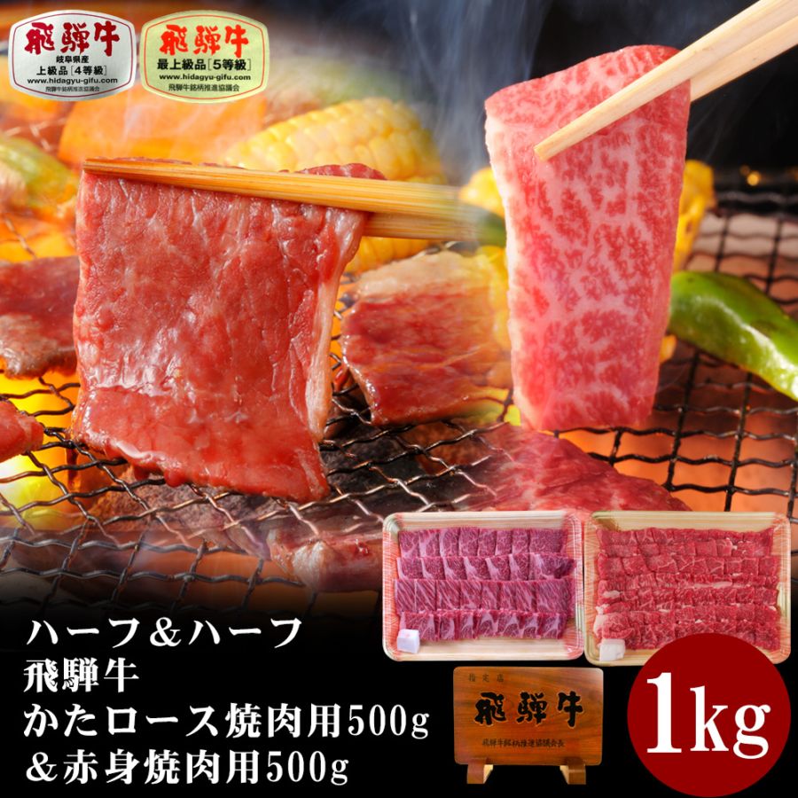 【送料無料】飛騨牛 焼肉 メガ盛り 1kg（かたロース500g＆赤身500g）A4・A5等級 食べ比べセット BBQ 焼き肉 お取り寄せ ギフト