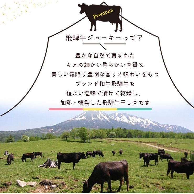 飛騨牛 ジャーキー 30g 最上級ブランド和牛を贅沢に使用した飛騨牛ジャーキー  飛騨牛 ジャーキー ビーフ ジャーキー プレゼント 手土産 おつまみ 景品 イベント 岐阜の名産