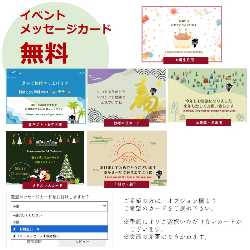 【ぽっきり】【送料無料】飛騨牛 サーロインステーキ 850g(170g×5枚)A4・A5等級 化粧箱入 ステーキソース付 ギフト お祝い 贈答