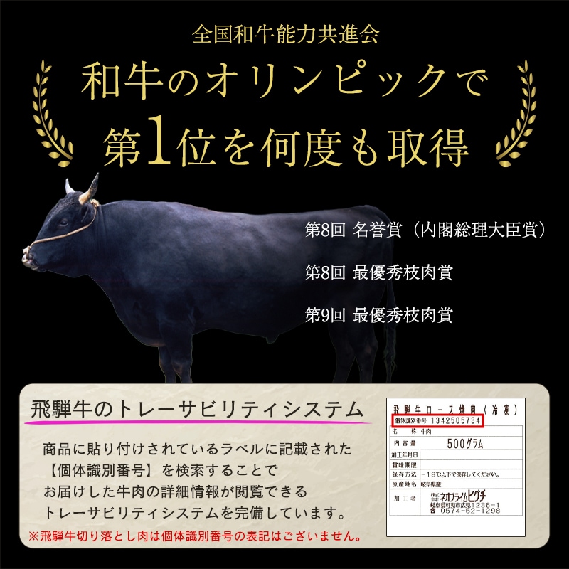 飛騨牛 カルビ 500g 焼肉 焼き肉 BBQ おうち焼肉 黒毛和牛 牛肉 冷凍 お取り寄せ