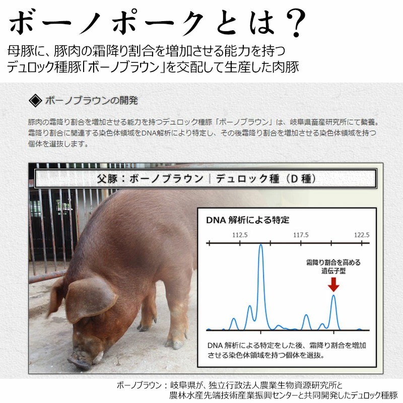 肉 自宅用 ボーノポークぎふ 岐阜県産豚肉 【かたロース肉】 テキ・カツ用 400g（3枚入） おうち焼肉