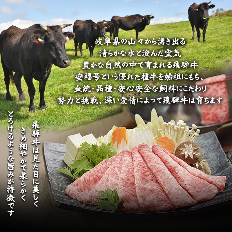 飛騨牛 もも肉 ブロック 1kg （1000g） ローストビーフ 焼肉 カレー シチュー 煮込み料理用 食材品