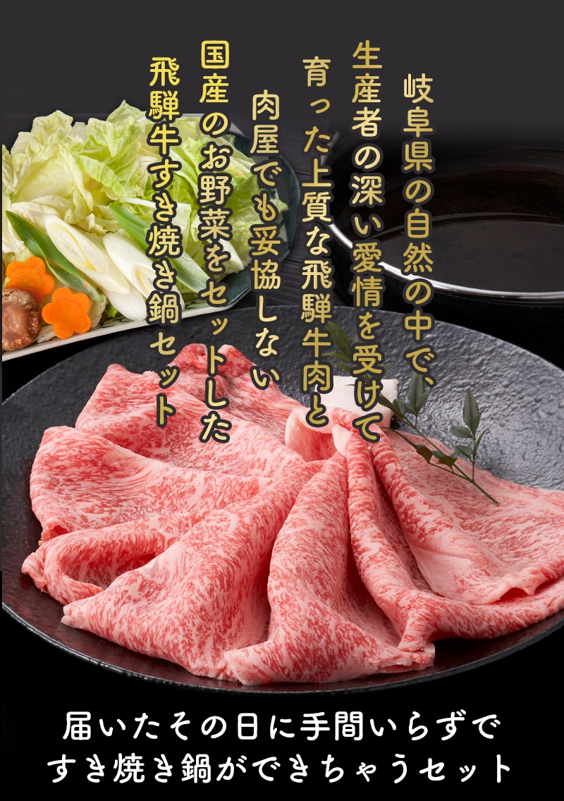 飛騨牛 すき焼き鍋セット かたロース肉 野菜 糸蒟蒻  オリジナル割下セット　二人前 プレゼント お誕生日 御祝 御礼 肉 ギフト