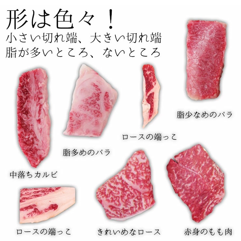 飛騨牛 切り落とし 焼肉 400g×2パック