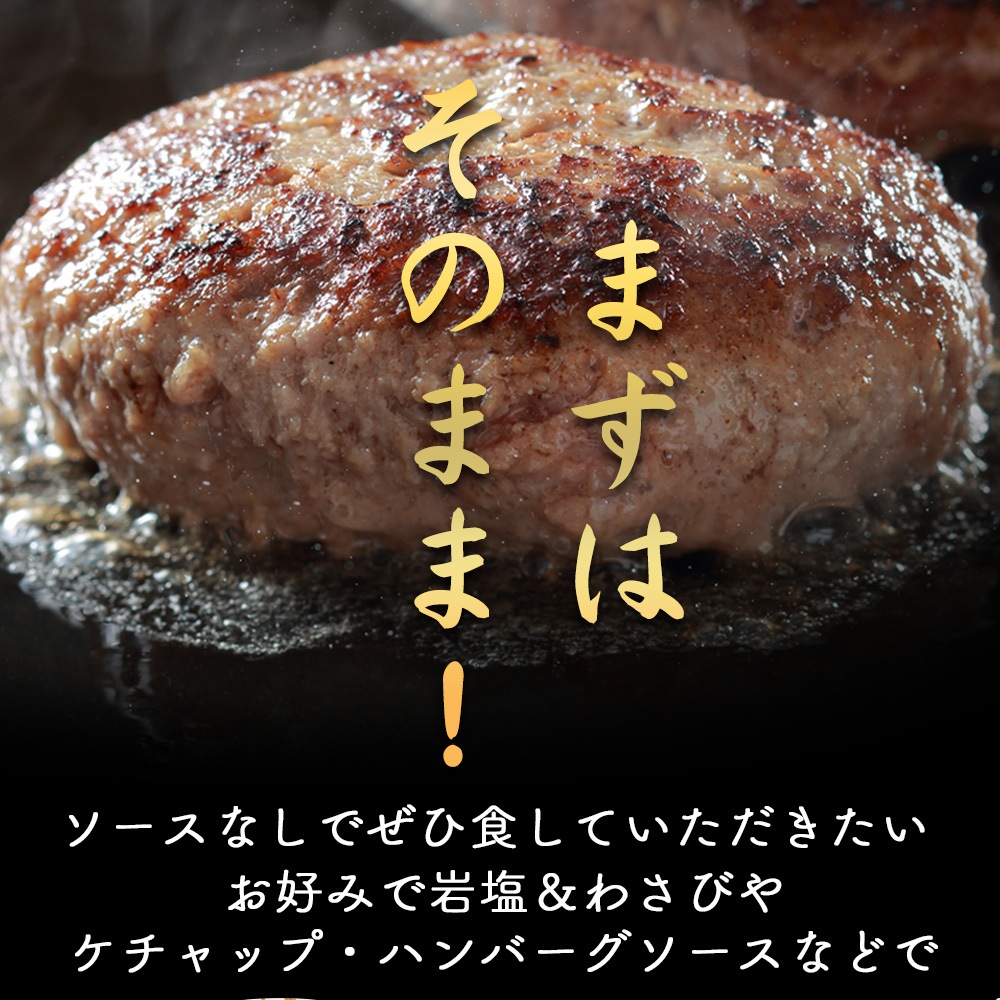 飛騨牛 生 ハンバーグ 120g×1個