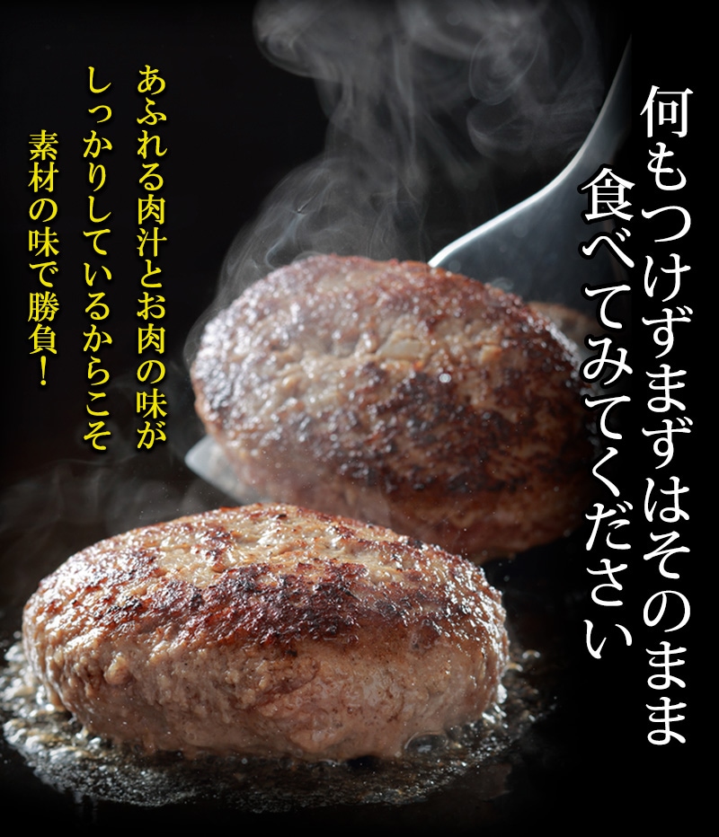 飛騨牛 生 ハンバーグ 120g×1個