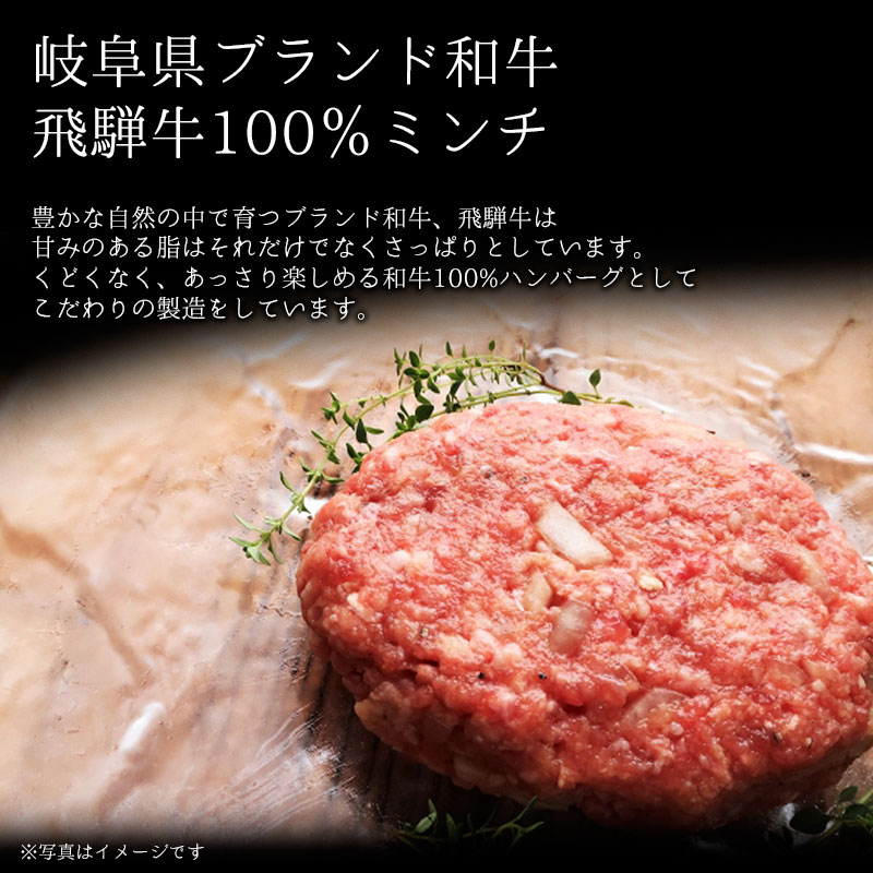 飛騨牛 煮込みハンバーグ  （ソース120g：ハンバーグ120g）×6個セット