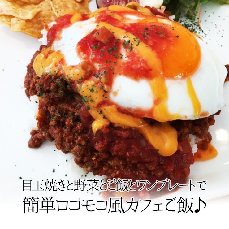 飛騨牛 煮込みハンバーグ  （ソース120g：ハンバーグ120g）×6個セット